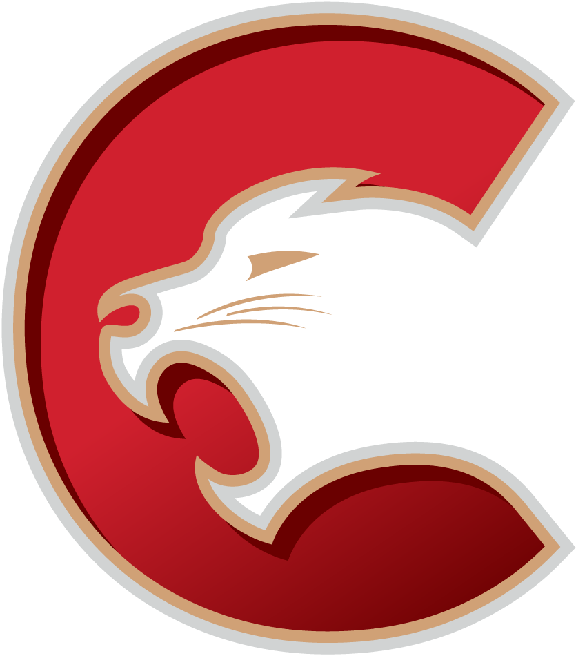 Prince George Cougars 2015-Pres Primary Logo iron on heat transfer...